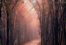 必一运动sport:英超第20輪曼聯2-1曼城 B費後插推射扳平惹越位爭議 拉什福德倒地鏟射逆轉勝.