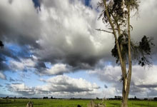 2022賽季中國足協杯抽簽結果.