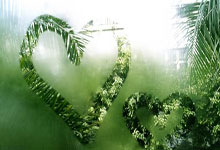 英超第35輪伯恩茅斯vs切爾西前瞻 伯恩茅斯勢頭如虹 切爾西能否走出低迷?.