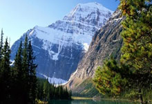 德甲第25輪多特蒙德2-0柏林赫塔 羅伊斯傷退穆科科破門.